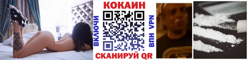 Купить закладки  Щёкино  Cocaine Fish Scale 