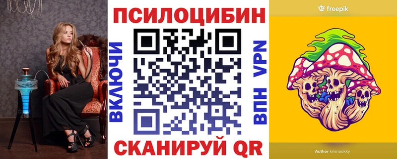 Купить где  Щёкино  Галлюциногенные грибы мицелий 