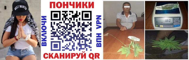 Конопля OG Kush  Купить закладки  Щёкино 
